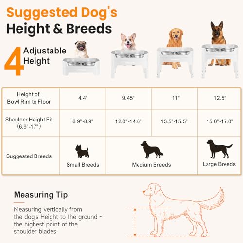 Elevated Dog Bowls (Light Grey / Large)