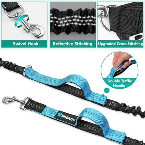Premium Hands Free Dog Leash for 2 Dogs (Turquoise Blue / 2 Leashes)