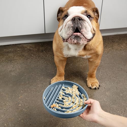 Slow Feeder Dog Bowl (Ocean - Rainbow Design / Medium (7.5” Across x 1.5” Tall))