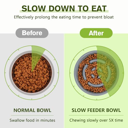 Slow Feeder Dog Bowls to Slow Down Eating (Large-2 Cup/17 oz each / Grey)