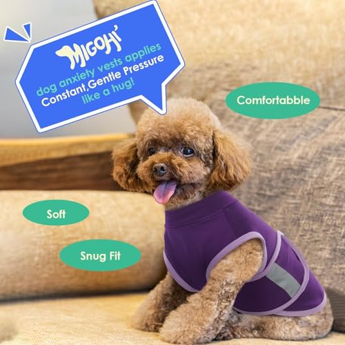 Dog Anxiety Relief Coat (Purple / Medium)