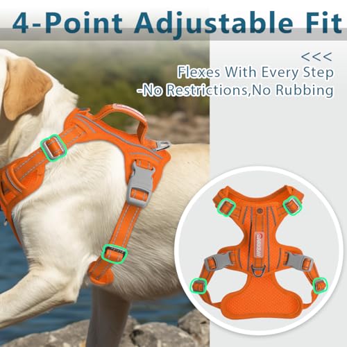 No Pull Dog Harness for Medium Sized Dogs (Medium(Chest:22.5-28") / Orange)