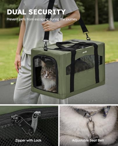 Cat Carrier Stable (Green / 19.6"L x 14.9"W x 13.7"H)