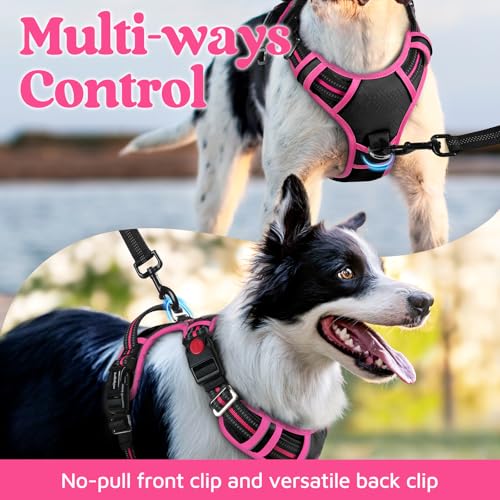 Dog Harness Medium Sized (Black & Pink / Medium)