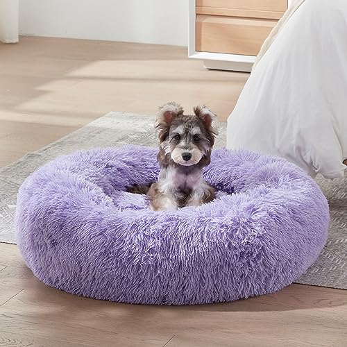 Calming Dog Bed & Cat Bed (Purple / 24.0"L x 24.0"W x 8.0"Th)