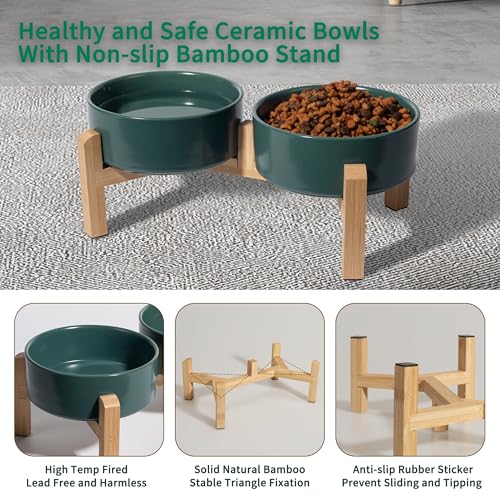 Elevated Ceramic Dog Bowl (Green / Small)
