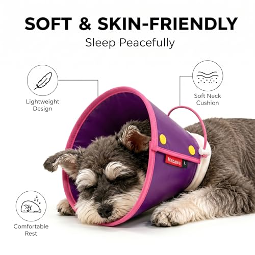 Soft Dog Cone Collar for Dogs & Cats (Purple / M)
