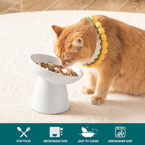 Ceramic Slow Feeder Cat Bowl (White)