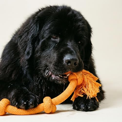 Tug Rope Dog Toys for Large Breed Dogs (Mega / Cheddar Cheese)