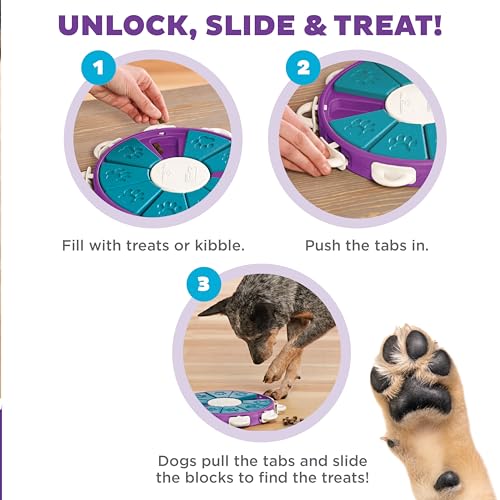Nina Ottosson Dog Twister Dog Toy Treat Puzzle (Dog Twister (Purple, Blue) / 1 Count (Pack of 1))