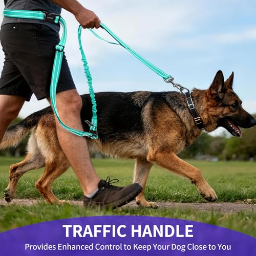 Hands Free Dog Leash by Kazazoo (GREEN / L)