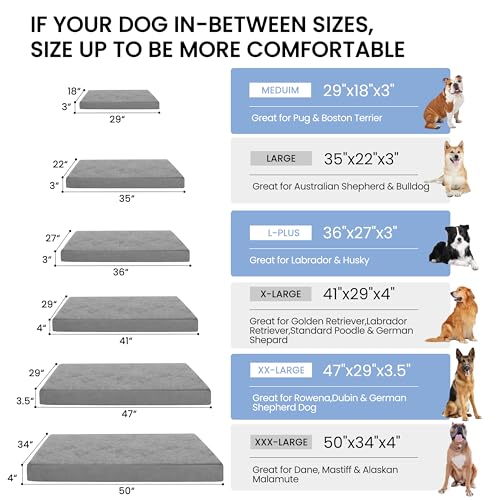 Orthopedic Memory Foam Bed for Large Dogs (Short Plush / L Plus-36"x 27" x 3")