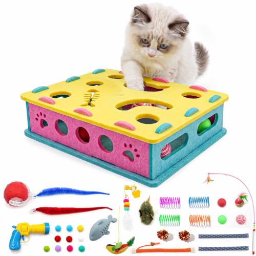 21 Pcs Interactive Cat Toys for Indoor Cats (Modern (only puzzle box))
