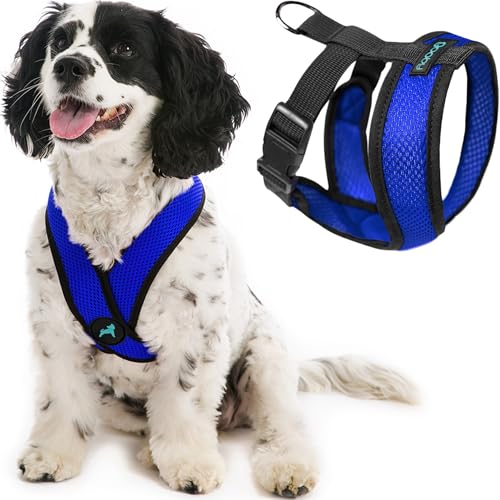 Comfort X Head (Medium Chest (14.25-18.75") / Blue)