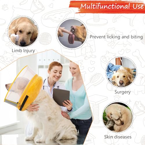 Inflatable Dog Cone Collar for Large Medium Small Dogs (Pineapple / Small)