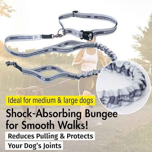 Hands Free Dog Leash (Grey)