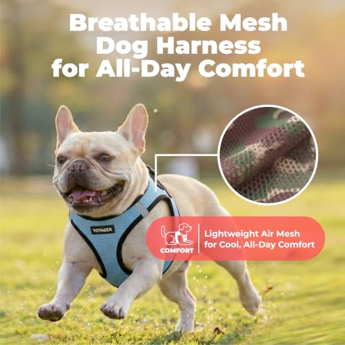 Voyager Step in Air Dog Vest Harness (Baby Blue/Black Trim / S (Chest: 14.5 - 16"))