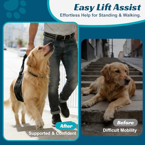 Dog Sling Adjustable Dog Lift Harness for Rear Legs (Large)
