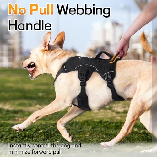 Escape Proof Dog Harness for Large (Black / Large)