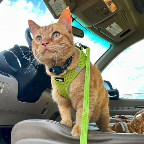Voyager Step in Air All Weather Mesh Harness and Reflective Dog 5ft Leash Combo with Neoprene Handle (Lime Green / M (Chest: 16 - 18"))