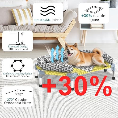 Orthopedic Dog Bed for Medium Dogs (6 sided Bolster Medium)