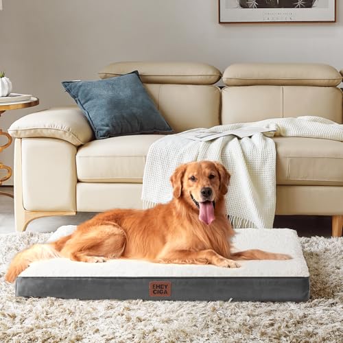 Orthopedic Dog Bed Large with Removable Washable Cover (41*27*3.5 inches / Beige)