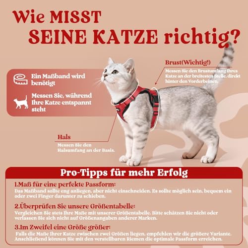 Cat Harness and Leash Set (M / Red)