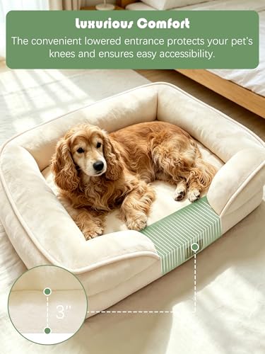 Orthopedic Dog Bed with Sides (35.0"L x 25.0"W x 6.5"Th / Ivory)