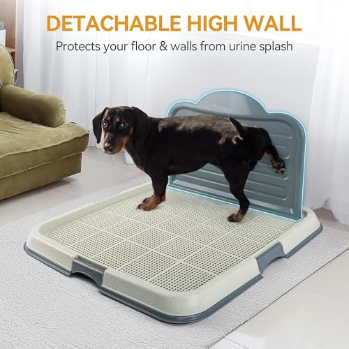 Dog Pee Pad Holder Tray with Splash Guard