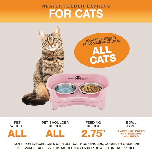 Express Mess Proof Cat Bowls Elevated (Cat w/ Standard Bowls / Pink)