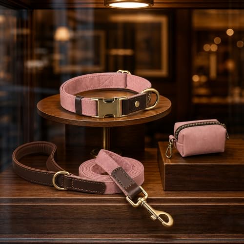 PU Leather Dog Leash for Medium Dogs (Pink / 3/4''x 5FT)