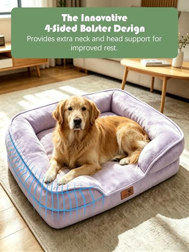 Orthopedic Dog Bed with Sides (42.0"L x 32.0"W x 6.5"Th / Purple)