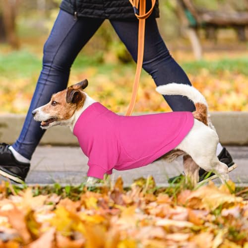3 Pack Dog Sweaters for Small Dogs (S / Pink Hotpink Purple)