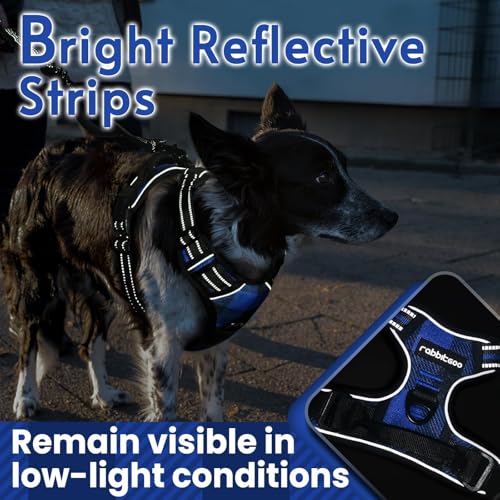 Dog Harness No Pull for Small Dogs with 2 Leash Clips (Small / Blue Plaid)