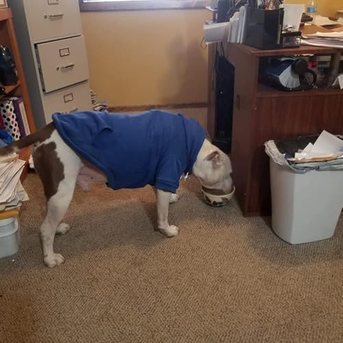 Security Dog Hoodie (#1 Royal Blue(Security) / Large (All Breed Sizes))