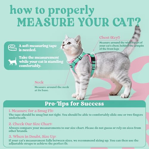 Cat Harness and Leash Set (Xxs / Green & Pink)