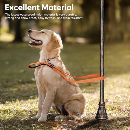 LED Dog Leash (Orange)