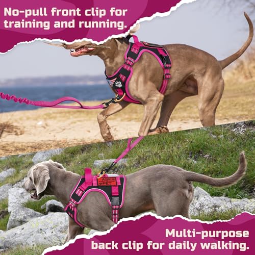 Tactical Dog Harness for Small (Black & Rose Red / Small)