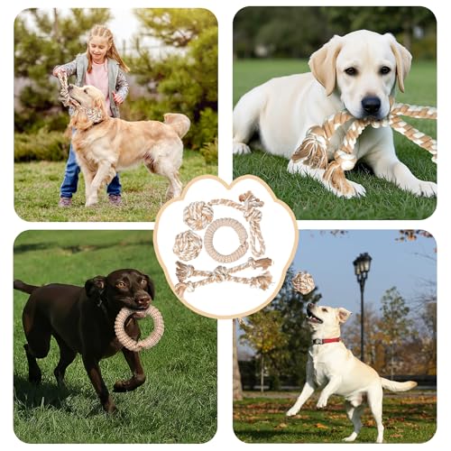 Dog Rope Toys for Aggressive Chewers (4 Style Set)