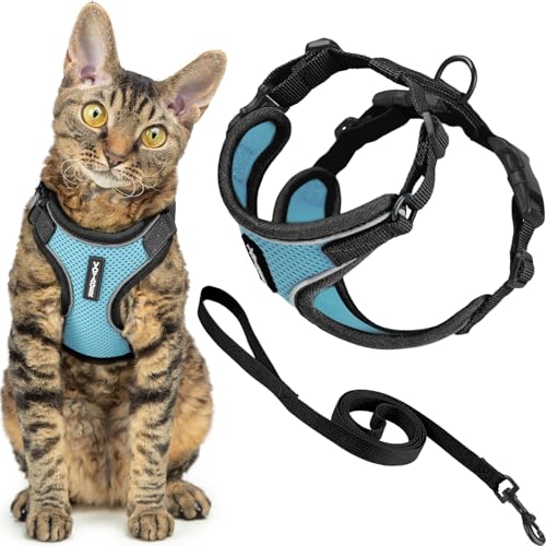 Voyager Escape (Black Trim-Baby Blue (327) / XXS (Chest: 11.5 - 14"))