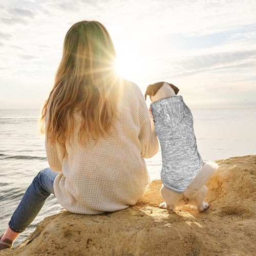 Dog Sweaters for Small Dogs Dog Hoodie Fleece Pet Sweater Soft Clothes Sweatshirt with Pocket Pet Hoodie for Small Dogs Puppy Sweater (X-Small / Grey)