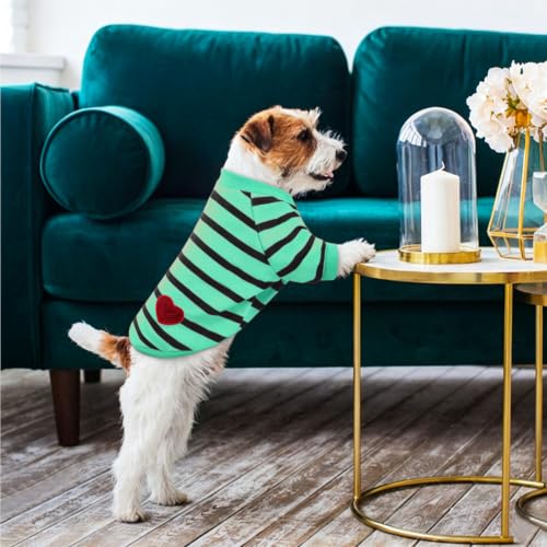Dog Shirts for Medium Dogs (Turquoise / Medium)