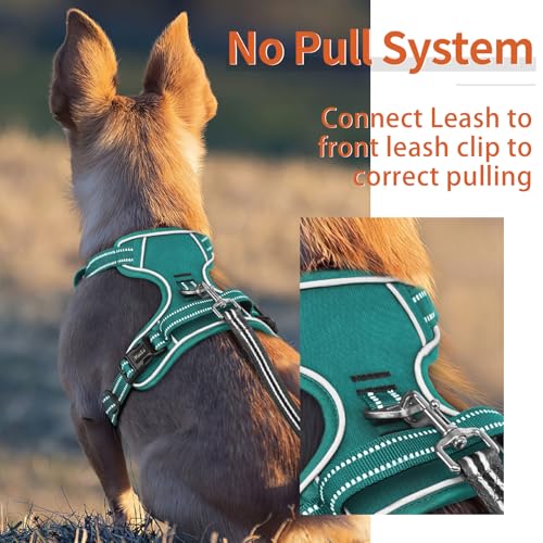 Dog Harness for Small Dogs No Pull Dog Vest Harness for Small Dog with Soft Padded Handle Reflective for Outdoor Training (S / Grass Green)
