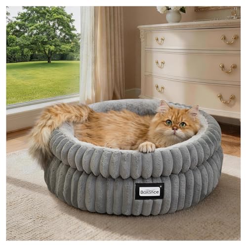 Cat Bed Kitten Bed (20.0"L x 20.0"W x 8"Th / Grey)