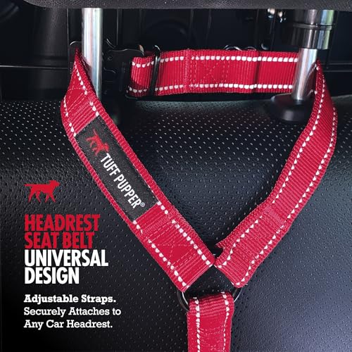Dog Seat Belt for Car Headrest (Black)