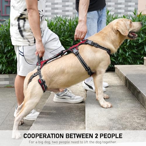 Mobility Dog Lift Harness (Red / M)