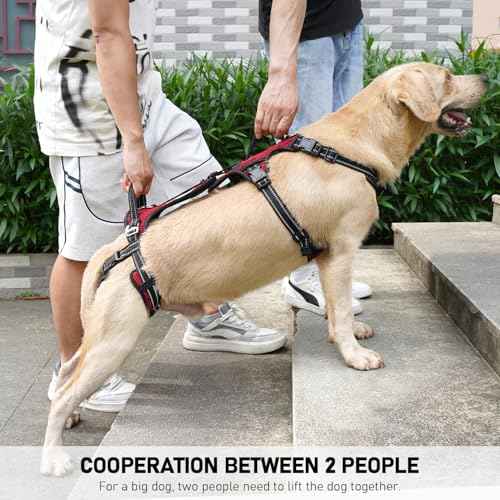 Mobility Dog Lift Harness (Red / XXL)