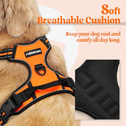 Dog Harness No Pull Medium Sized with 2 Leash Clips (Medium / Orange)