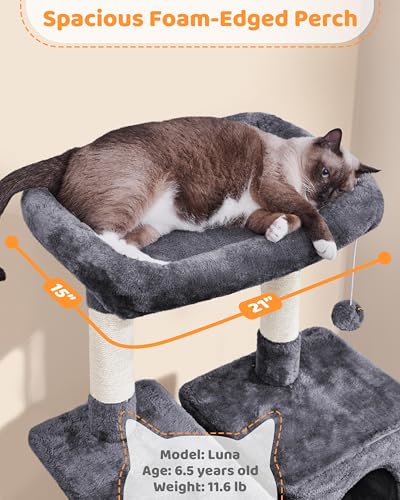63in Sturdy Large Cat Tree for Indoor Heavy Cats (Dark Gray / 63in)
