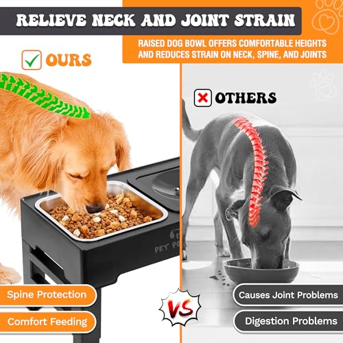 Elevated Dog Bowls (No-Spill Water Bowl & Stainless Steel Bowl Black)